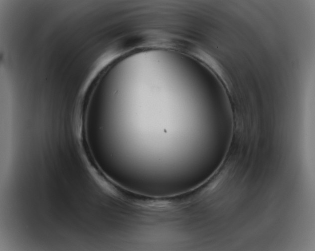 X0000088201131200705221717