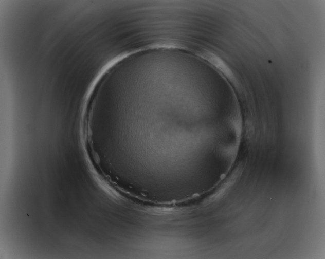 X0000088201132200705221717