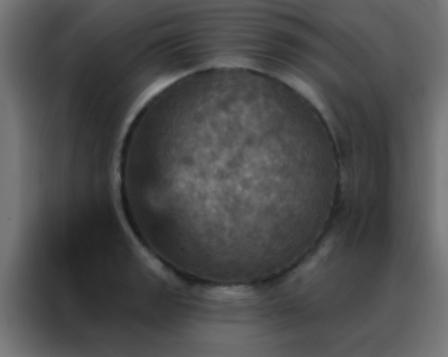 X0000088201133200705221717