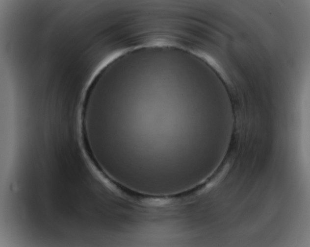X0000088201134200705221717