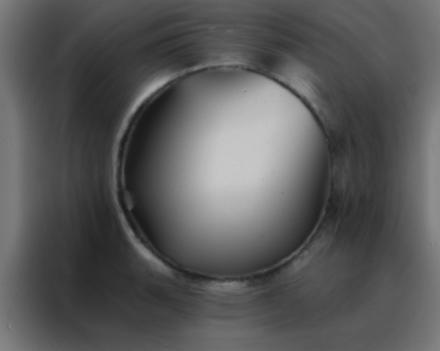 X0000088201135200705221717