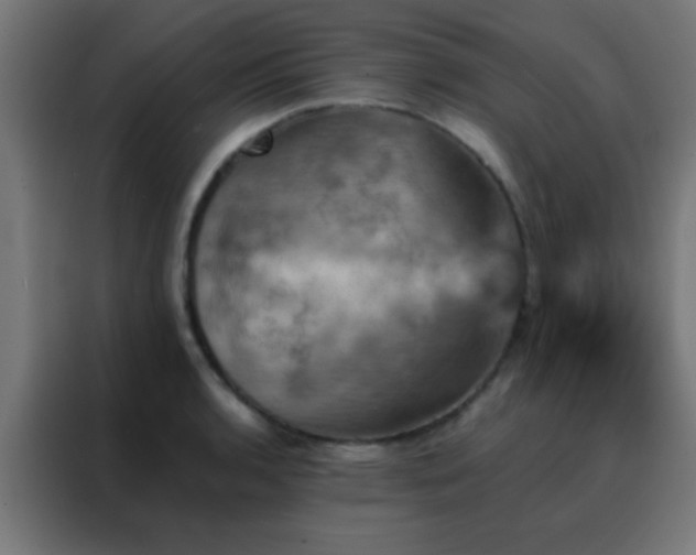 X0000088201136200705221717