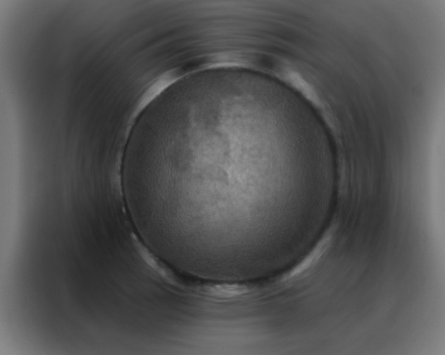 X0000088201137200705221717