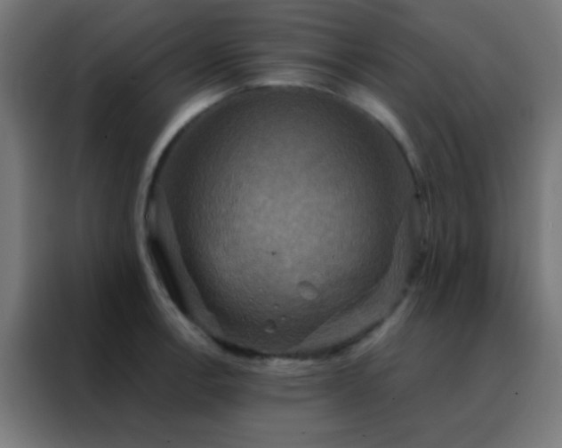 X0000088201138200705221717