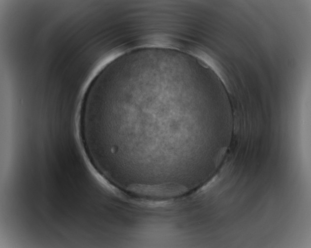 X0000088201139200705221717