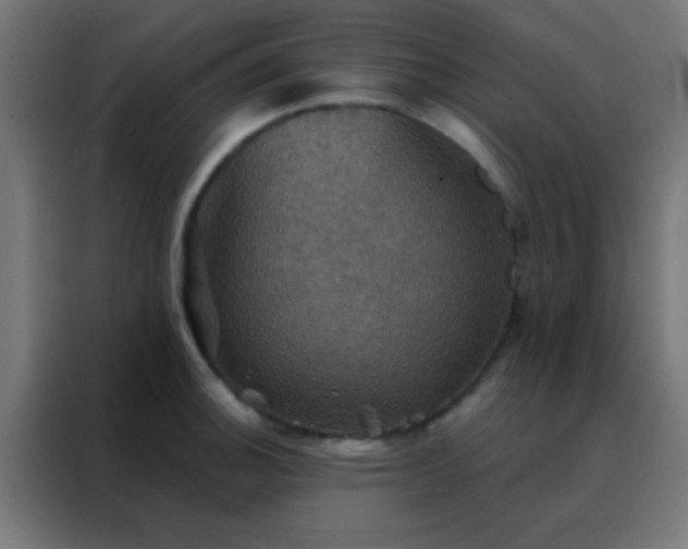 X0000088201140200705221717