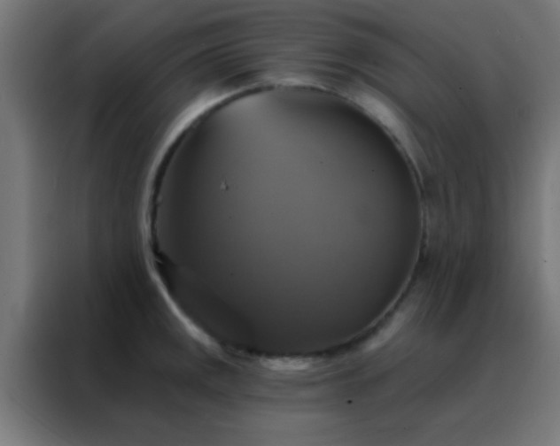 X0000088201141200705221717