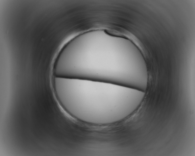 X0000088201143200705221717