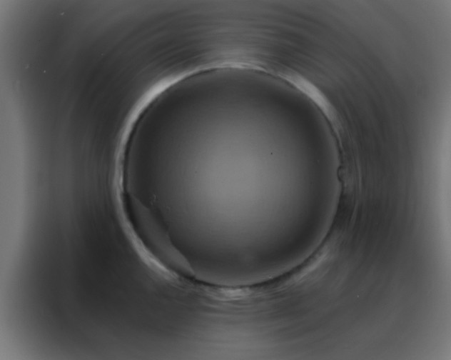 X0000088201144200705221717