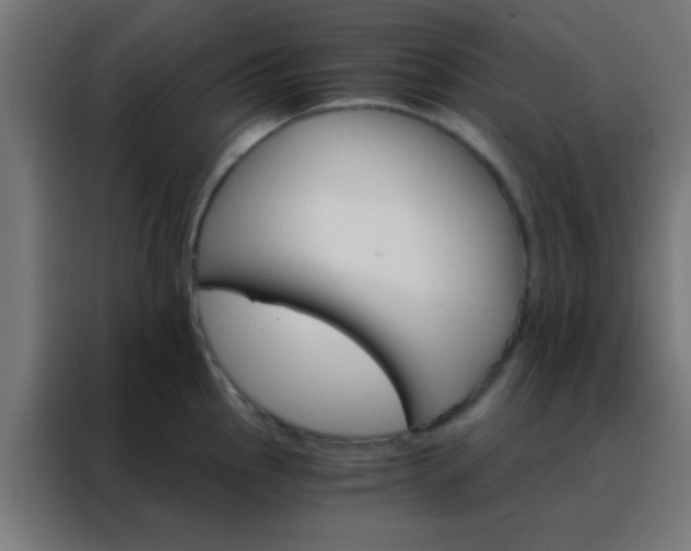 X0000088201145200705221717