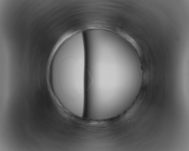 X0000088201146200705221717