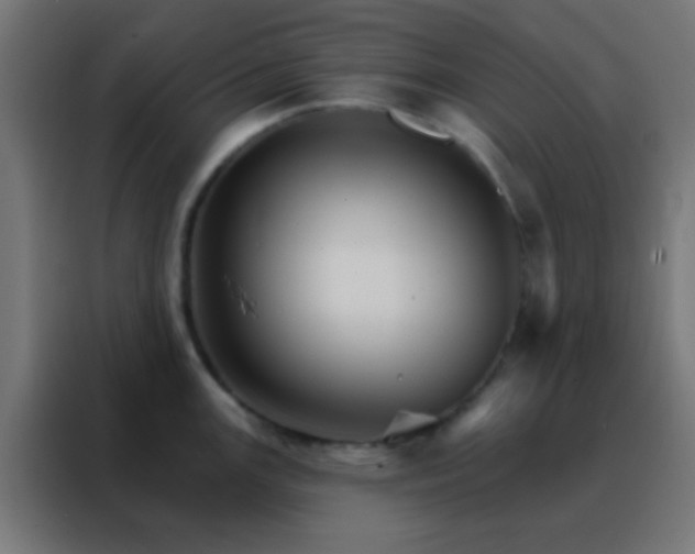 X0000088201147200705221717