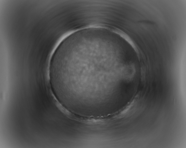 X0000088201148200705221717