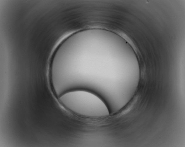 X0000088201149200705221717
