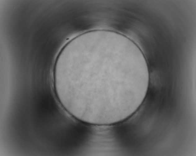 X0000088201150200705221717