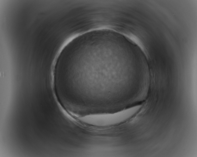 X0000088201151200705221717
