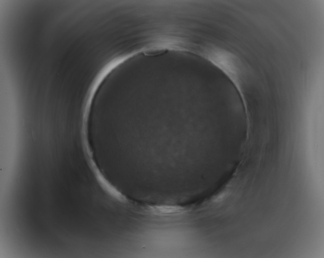 X0000088201152200705221717