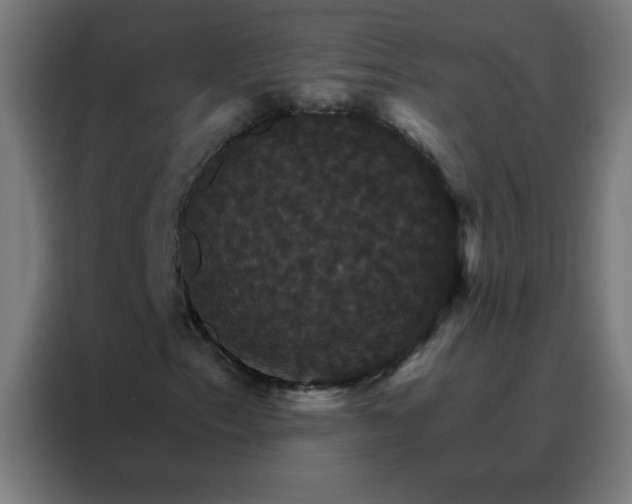 X0000088201153200705221717