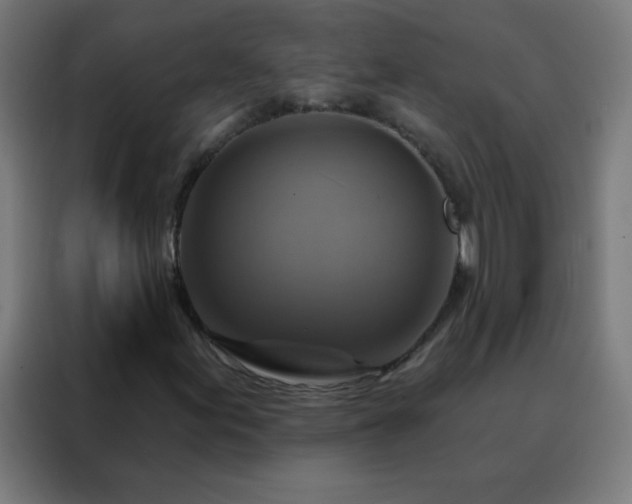 X0000088201155200705221717