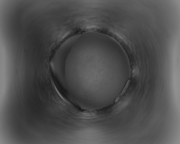 X0000088201156200705221717