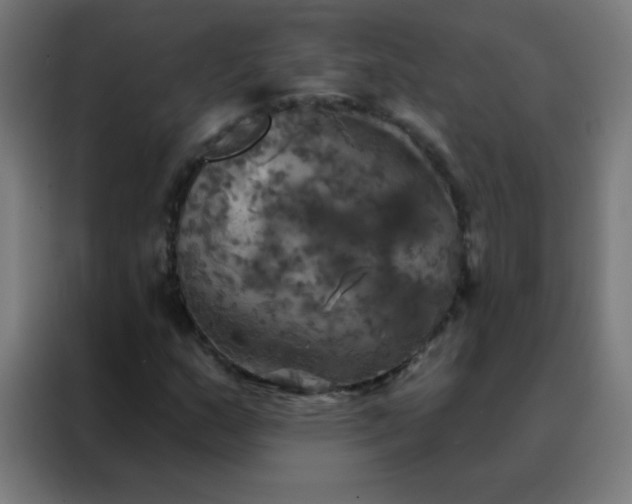 X0000088201159200705221717