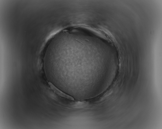 X0000088201160200705221717