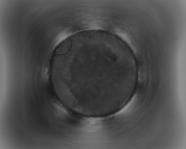 X0000088201163200705221717
