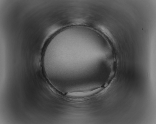 X0000088201164200705221717