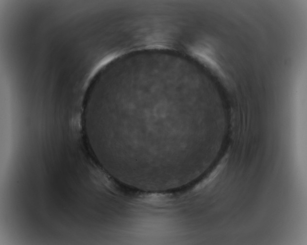 X0000088201166200705221717