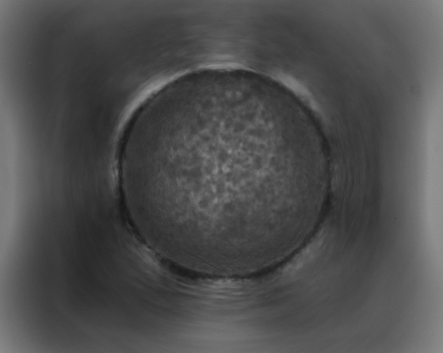 X0000088201167200705221717