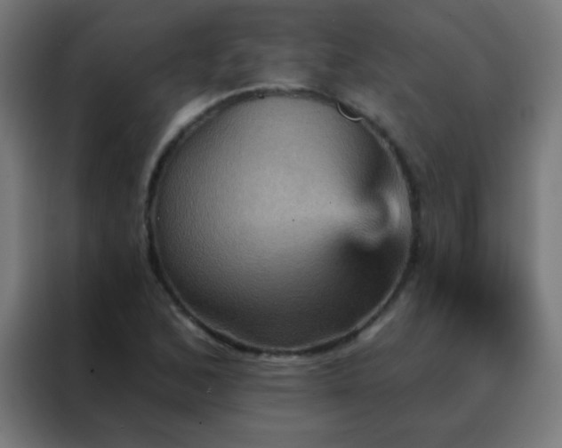 X0000088201168200705221717