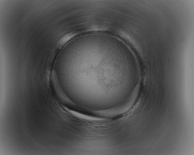 X0000088201169200705221717