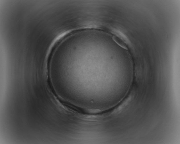 X0000088201172200705221717