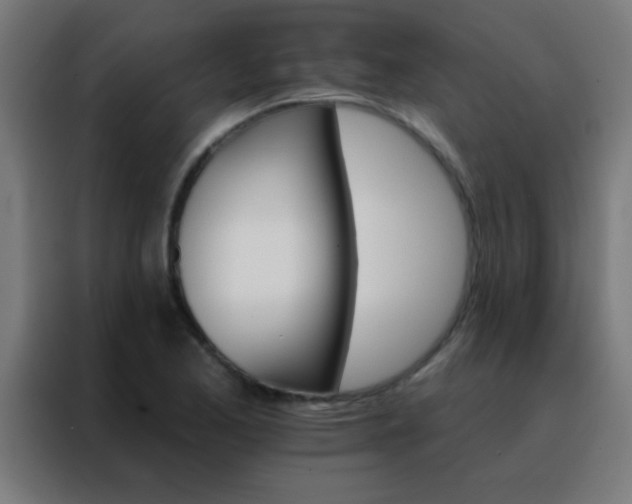 X0000088201173200705221717