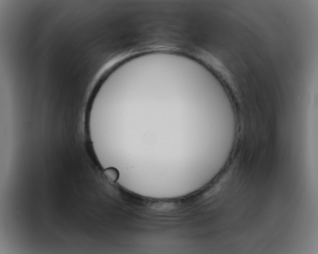 X0000088201174200705221717