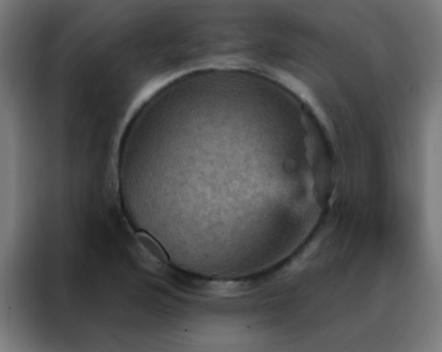 X0000088201176200705221717