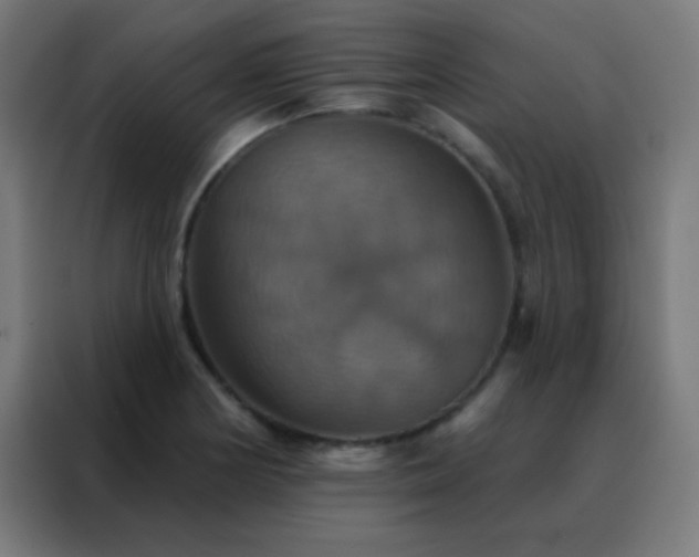 X0000088201178200705221717