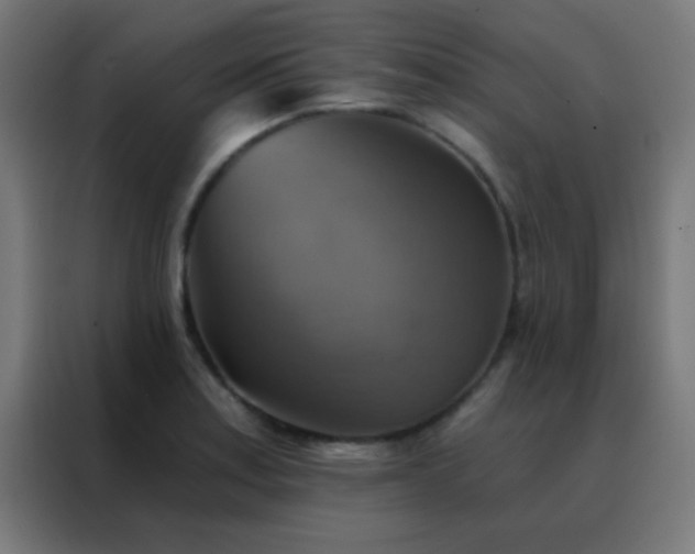 X0000088201179200705221717