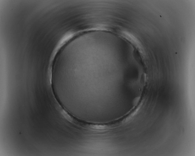 X0000088201180200705221716