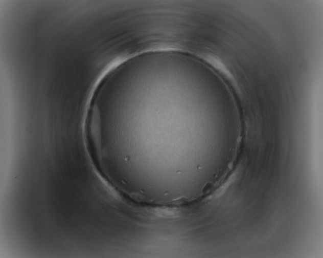 X0000088201181200705221716