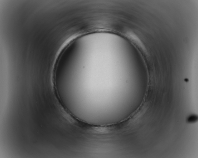 X0000088201182200705221716