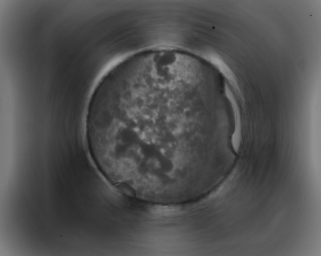 X0000088201183200705221716