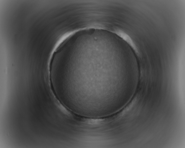 X0000088201184200705221716