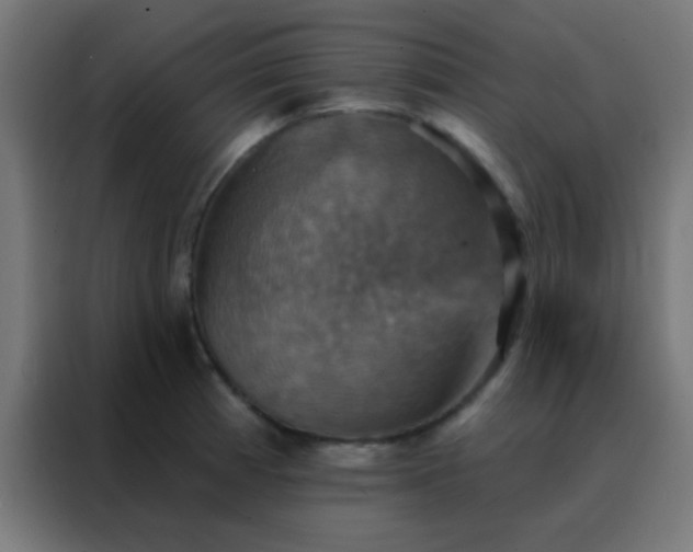 X0000088201185200705221716