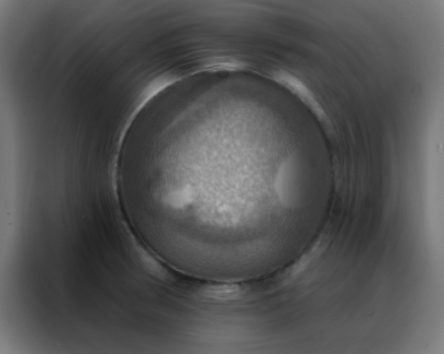 X0000088201186200705221716