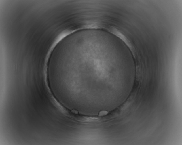 X0000088201187200705221716