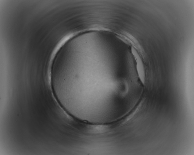 X0000088201188200705221716