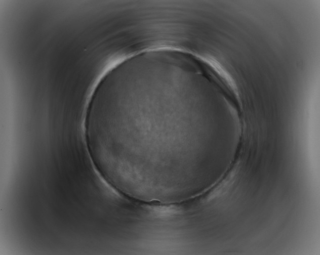 X0000088201189200705221716