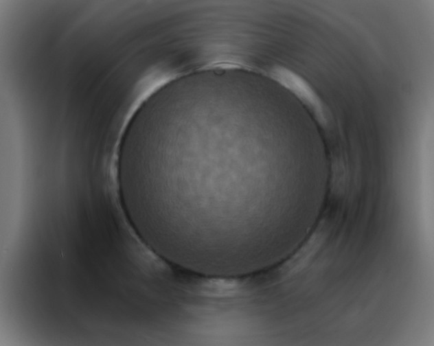 X0000088201190200705221716