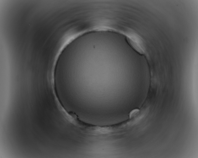 X0000088201191200705221716